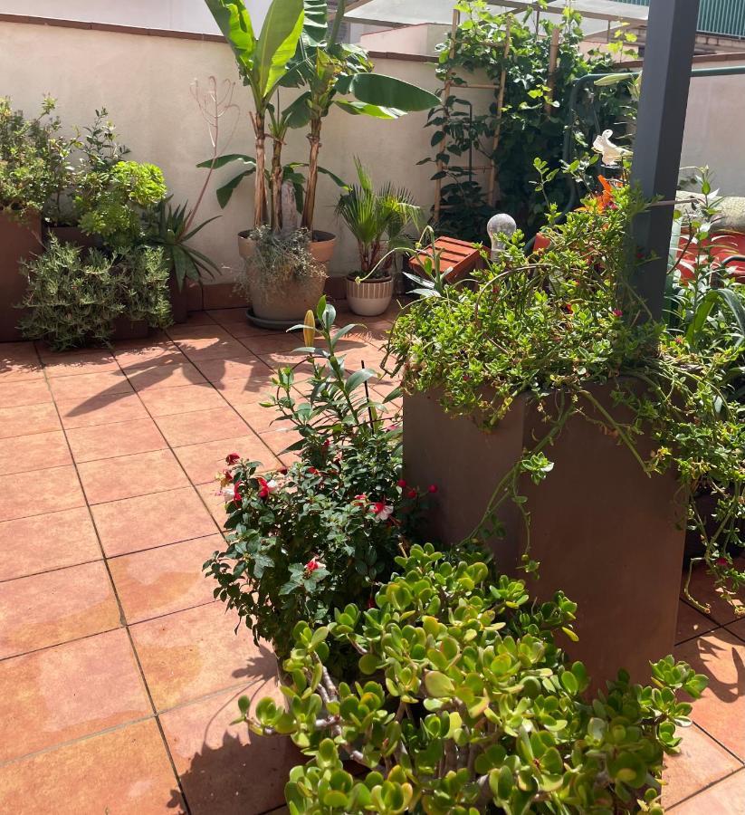 Figueres Center Apartment Ngoại thất bức ảnh